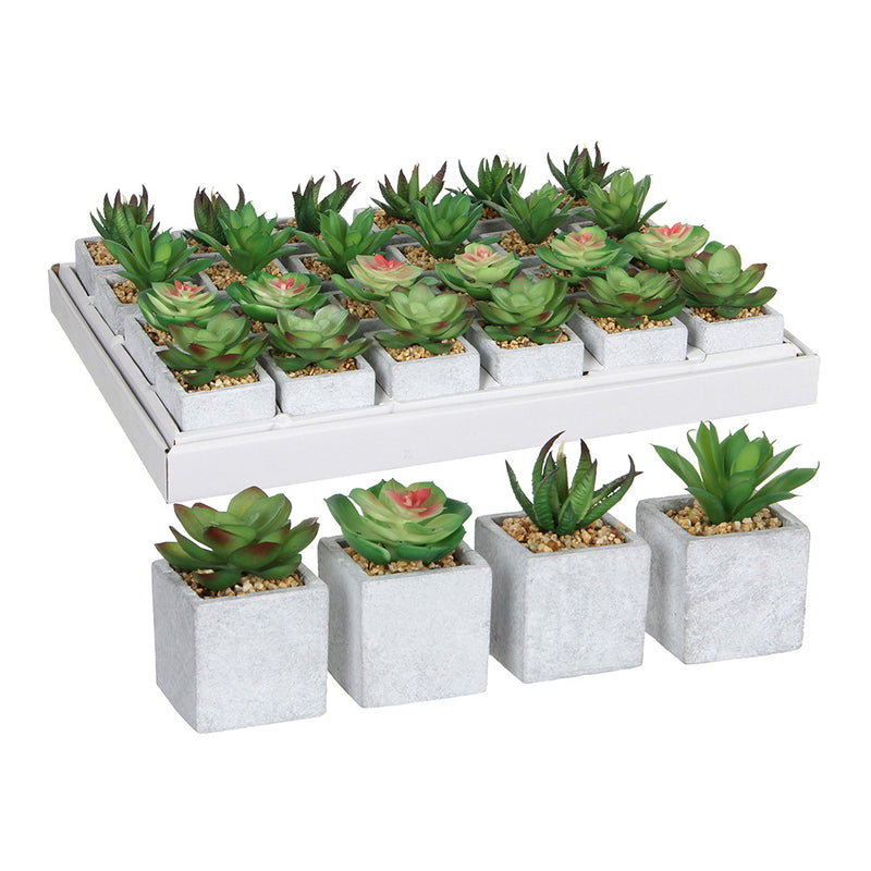 Green Succulent Assorted Models, 4 Different Models, Price Per Unit