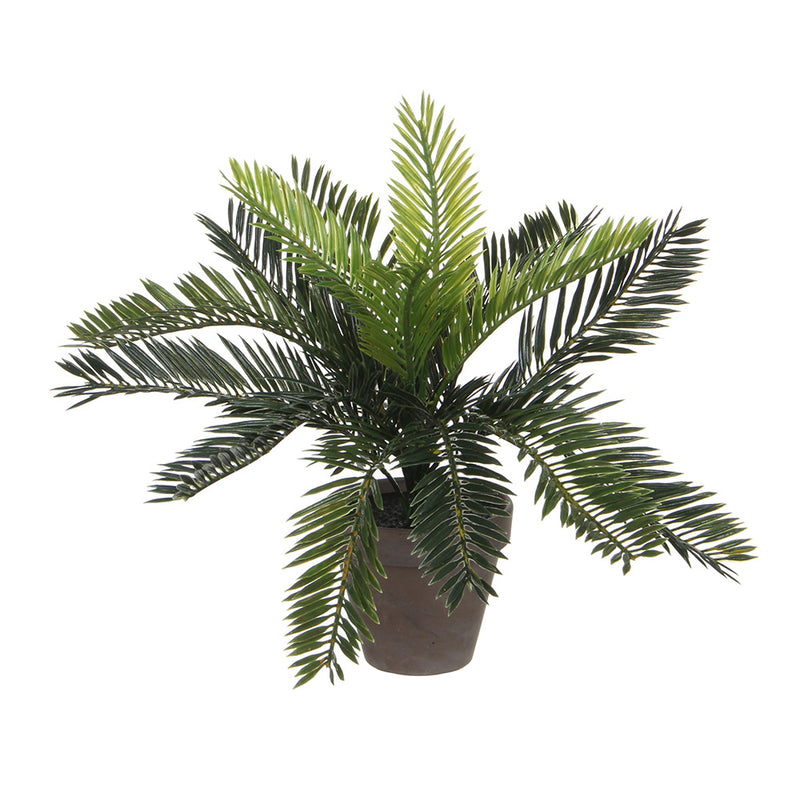 Sago Palm Tree (Cyca Revoluta) Pvc With Gray Pot 40X40X33Cm