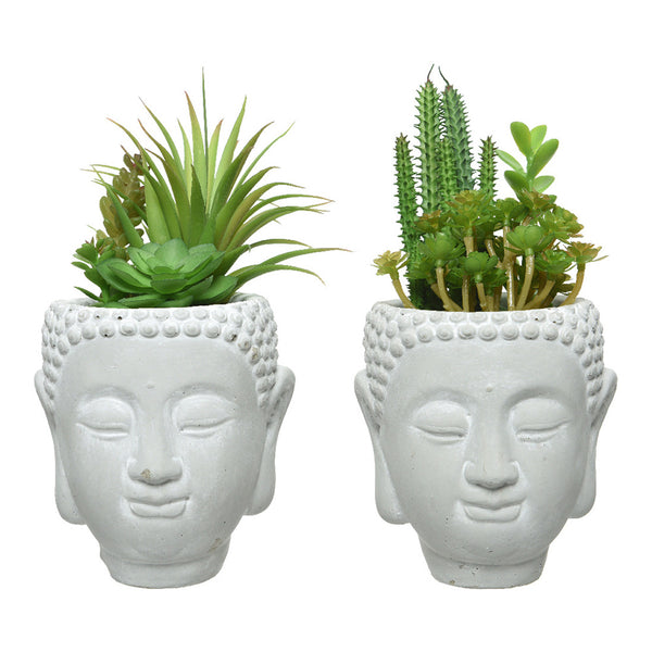 Artificial Succulent Buddha Head Assorted Models