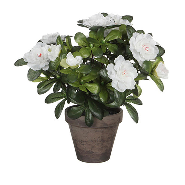 Azalea Artificial Blanca En Tiesto Gris Ø11,5X27Cm