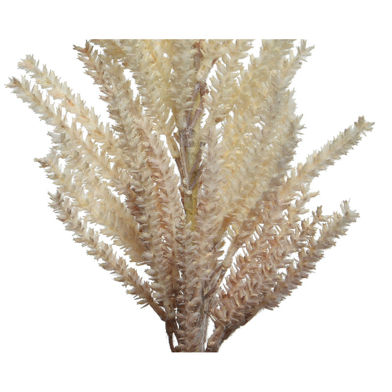 Artificial Pampas Branch 13X9X94Cm