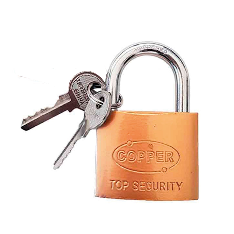 Padlock 20mm 2 Keys Basic Line Edm