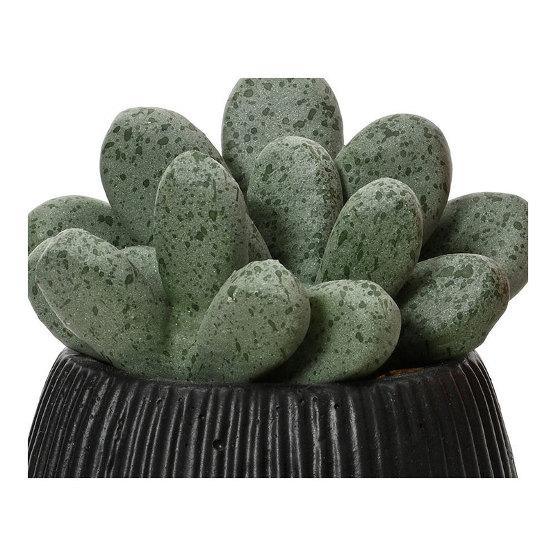 Cactus Artificial Modelos Surtidos De 14Cm 808448