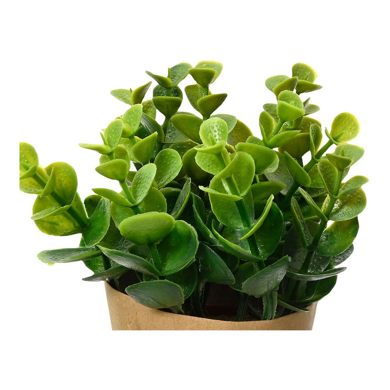 Planta Artificial Con Maceta De Papel De 18Cm Modelos Surtidos 808607