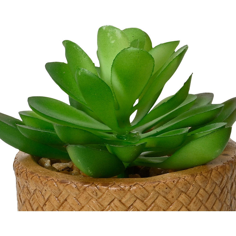 10cm Artificial Succulent Plant Assorted Models 809279