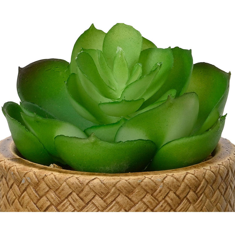 10cm Artificial Succulent Plant Assorted Models 809279