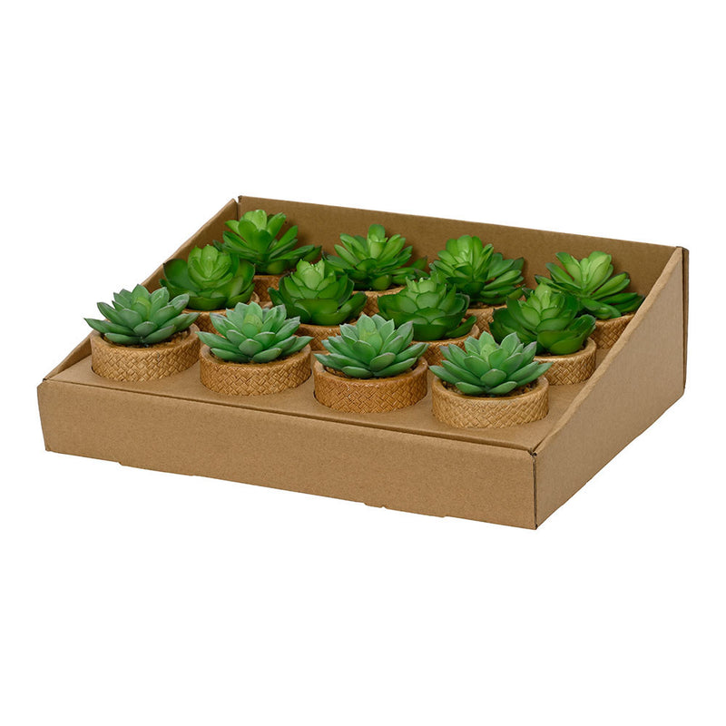 10cm Artificial Succulent Plant Assorted Models 809279