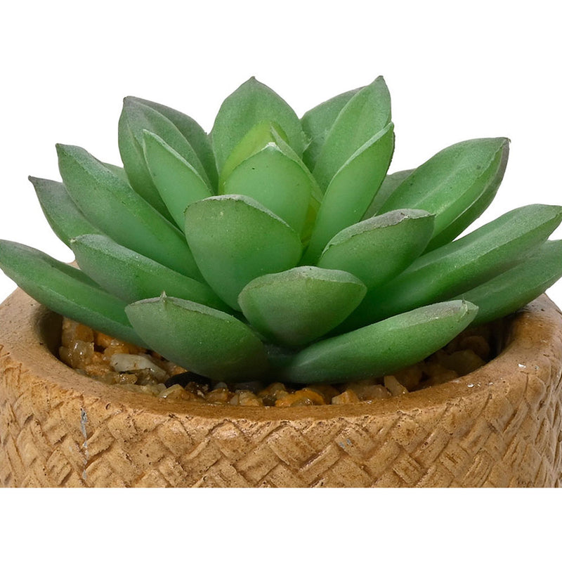 10cm Artificial Succulent Plant Assorted Models 809279