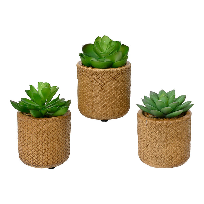 10cm Artificial Succulent Plant Assorted Models 809279