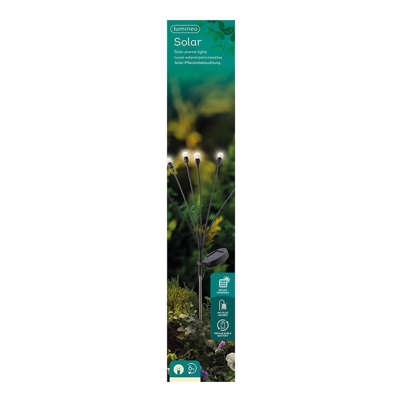 Solar Stake Light Fixed for Plants and Garden, 898736