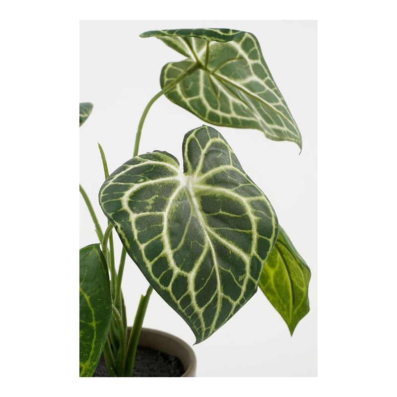 Artificial Caladium Plant "Elephant Ear" Green With Pot Ø21X28Cm