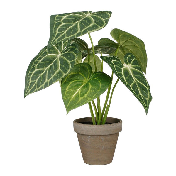 Planta Artificial Caladium "Oreja De Elefante" Verde Con Maceta Ø21X28Cm