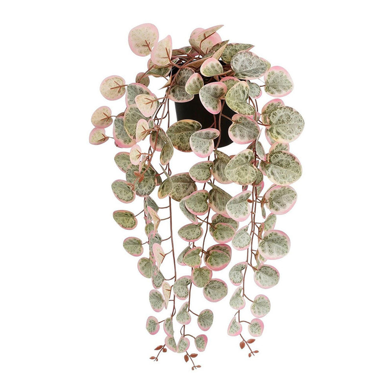 Artificial Hanging Plant Ceropegia Woodii "Necklace of Hearts" Pink with Pot