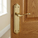 Manilla modelo LOREA PB con placa dorada brillante de aluminio para puertas