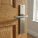 Manilla modelo '530' con placa rectangular de para puertas