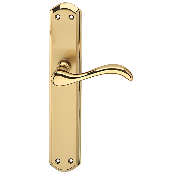 Model '5001' handle with oval plate in satin gold polished finish for doors 