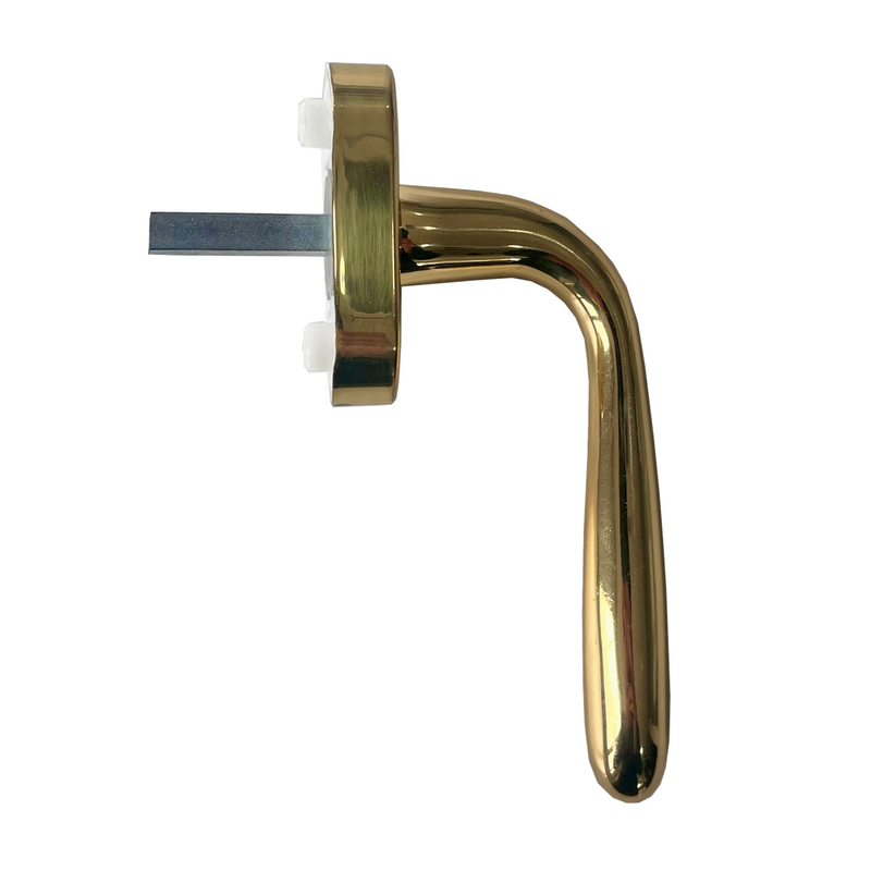 Window handle in shiny gold, Derby Sicma model, with oval rosette