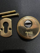 Escudo de seguridad fabricado en acero acabado dorado brillo para bombines europerfil