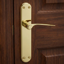 Manilla con placa ovalada de latón acabado dorado modelo Pep para puertas