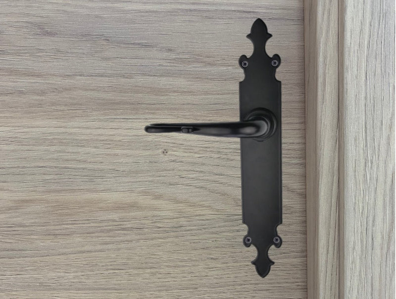 Manilla modelo '300' con placa oval de forja para puertas