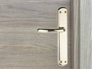 Manilla modelo '6501' de zamak acabado dorado brillo con placa ovalada para puertas