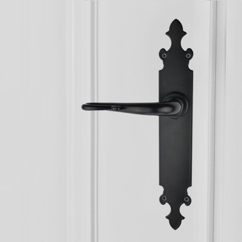 Manilla modelo '300' con placa oval de forja para puertas