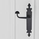 Manilla modelo '200' con placa oval de acabado forja para puertas