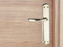 Manilla modelo '6501' de zamak acabado dorado brillo con placa ovalada para puertas