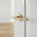 Manilla roseta redonda en Aluminio RS-310 dorado mate