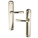 Manilla modelo '6501' de zamak acabado dorado brillo con placa ovalada para puertas