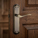 Manilla modelo '881' rústica acabado cuero de aluminio con placa curva para puertas