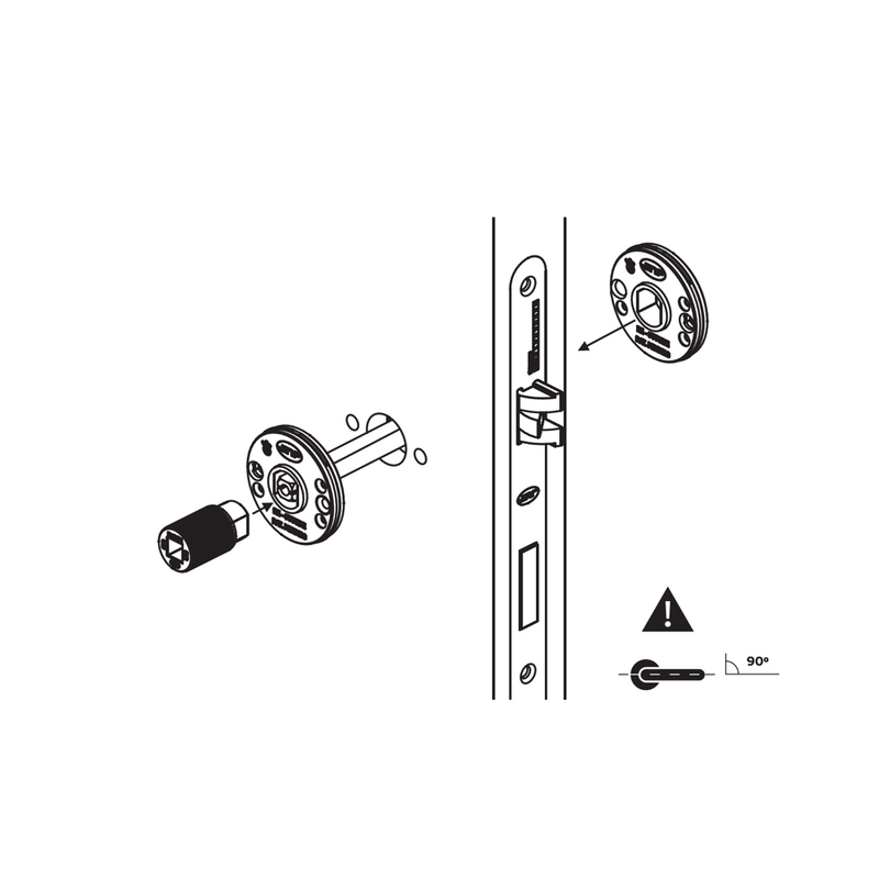 Dynamic handle with round rosette in stainless steel for doors