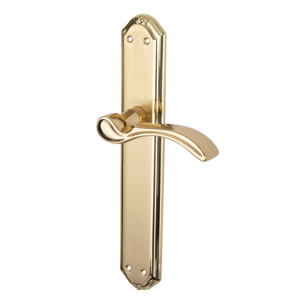 Rustic brass handle in glossy gold finish with curved plate for '2011' model doors 